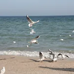 Ostseetraum & Rostock