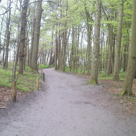 Ostseetraum & 3* Rostock