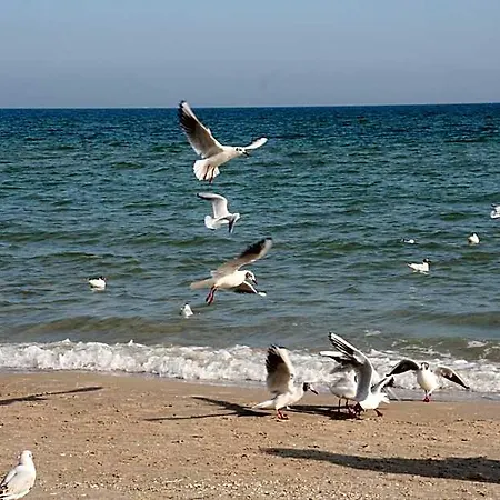 Ostseetraum &