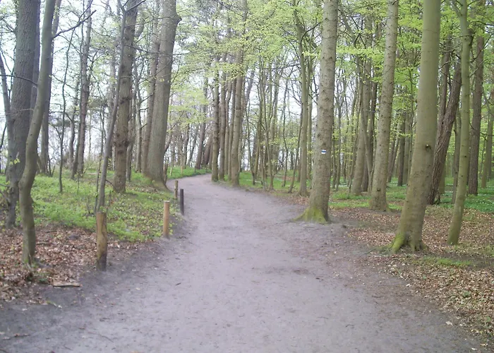Ostseetraum & 3* Rostock