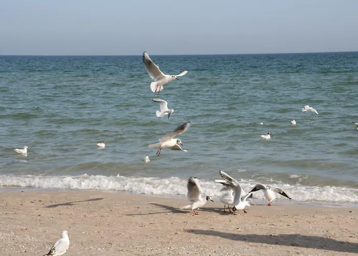 Ostseetraum & Rostock